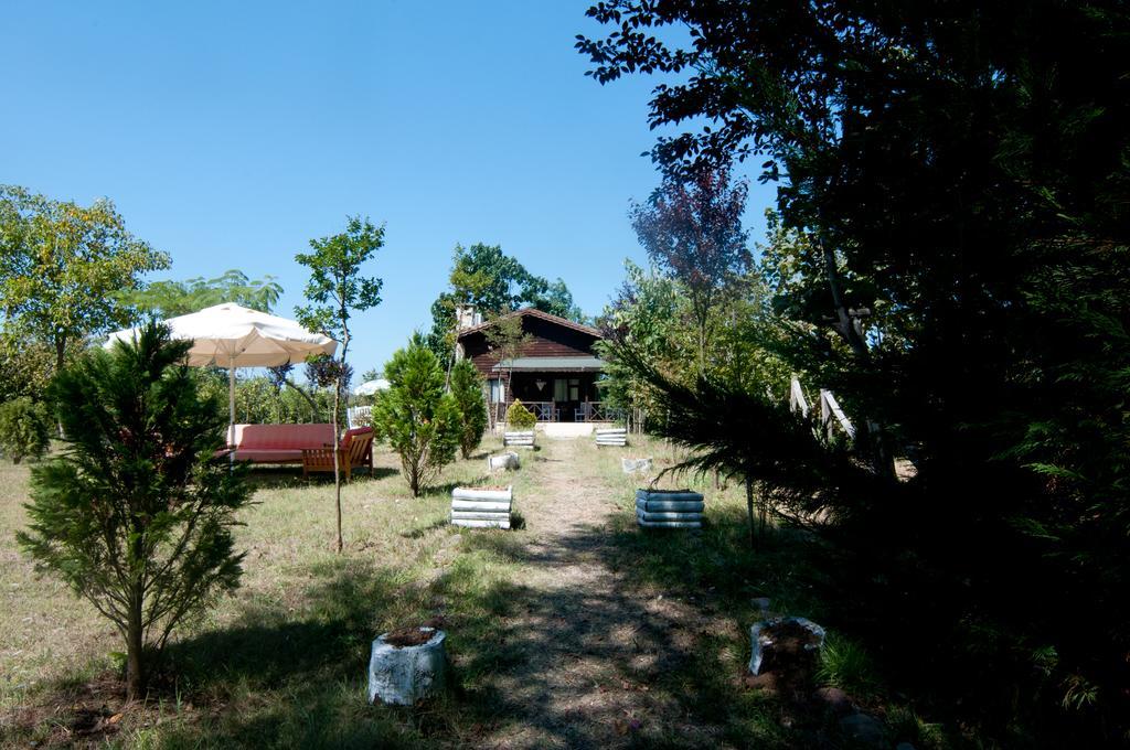 Agva Nehir Perisi Hotel Goce Kültér fotó