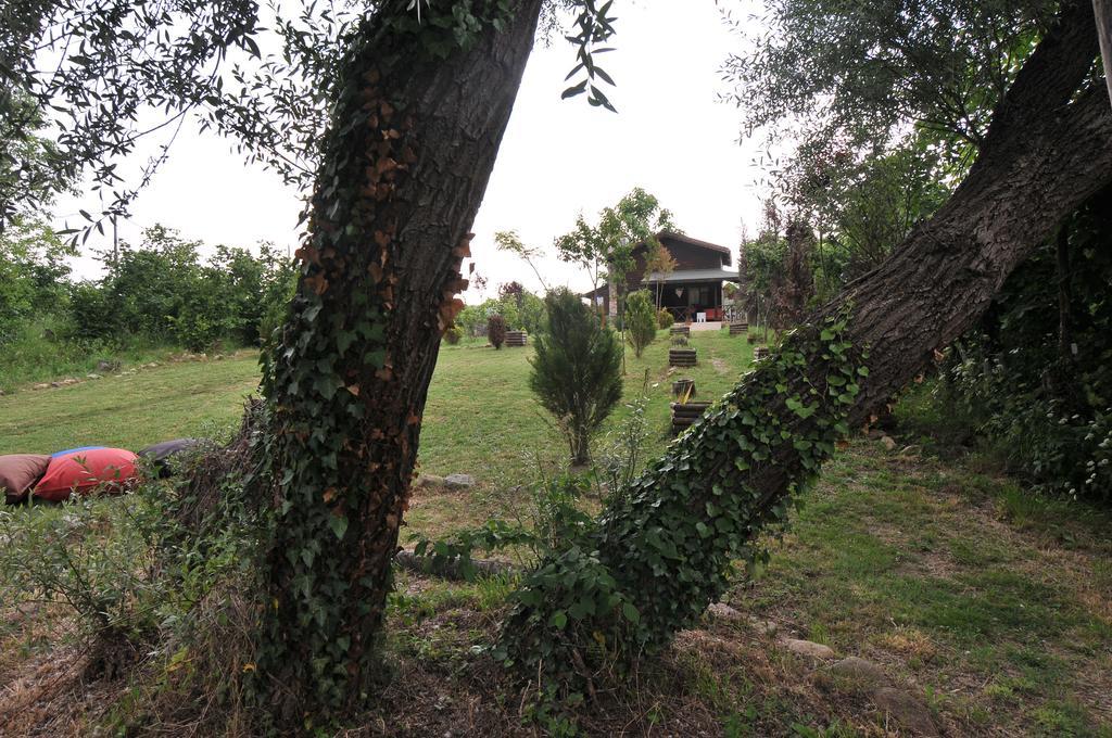Agva Nehir Perisi Hotel Goce Szoba fotó