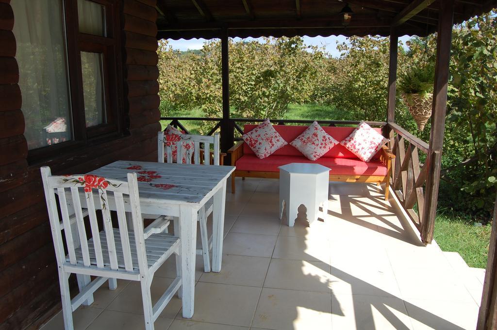 Agva Nehir Perisi Hotel Goce Szoba fotó